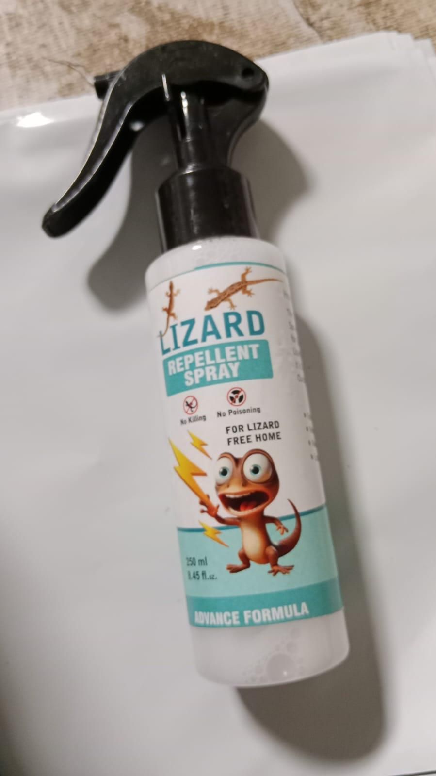 Lizard Mite & Insects Repellent Spray - Pack of 2 (Buy 1 Get 1 Free)